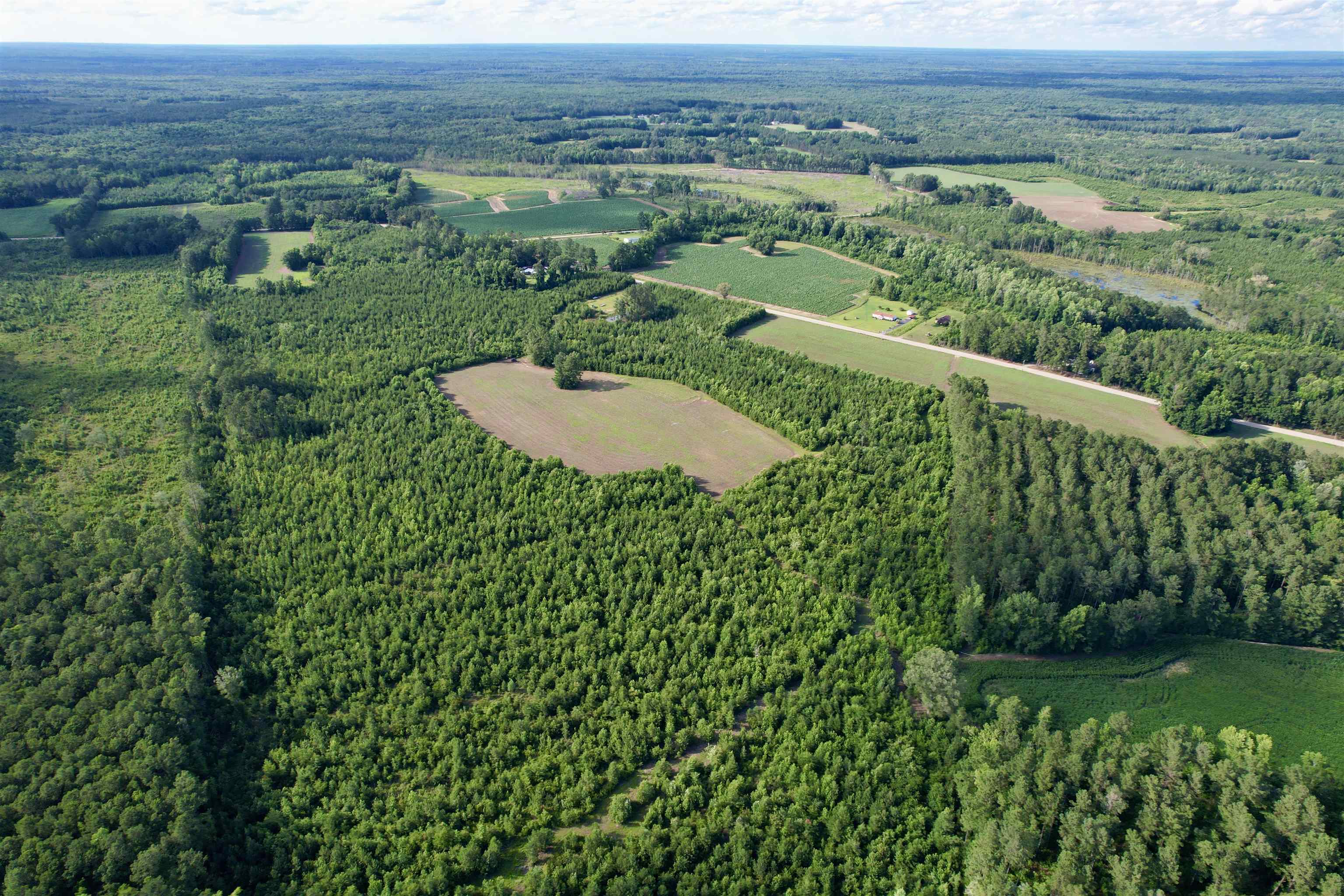 85-acres - Muddy Creek Road Hemingway, SC 29554 - Photo 15 of 31