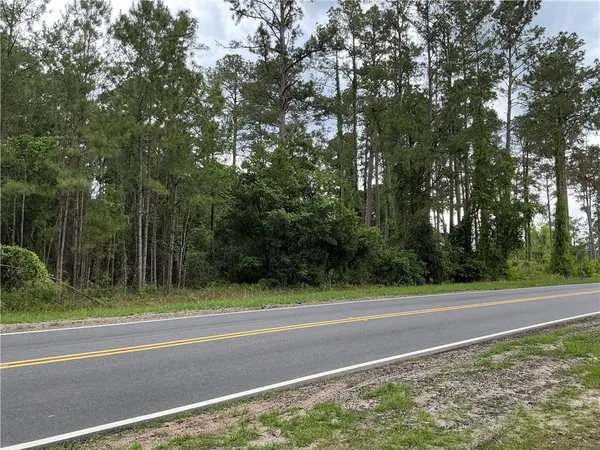 $350,000 | Lot 155 Augusta/cherokee Avenue, Waycross, GA 31501