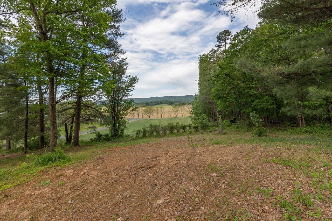 547 Grindstone Road Bridgewater, VA 22812 - Photo 51 of 57 a view of a house with a tree in the background