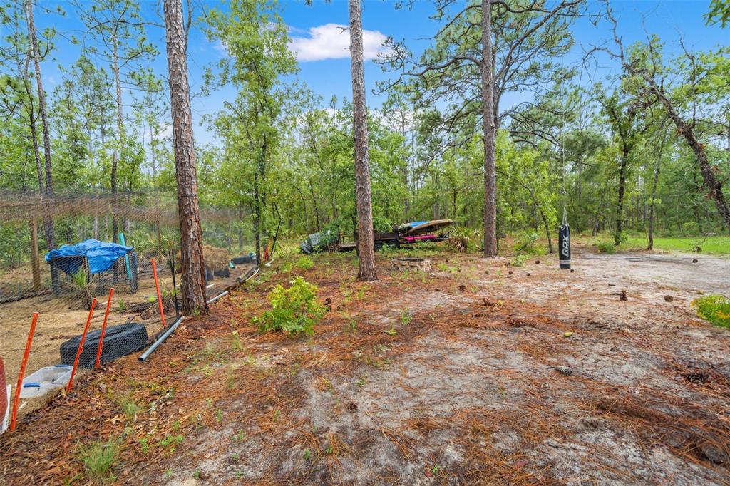18336 Macek Road Weeki Wachee, FL 34614 - Photo 39 of 49