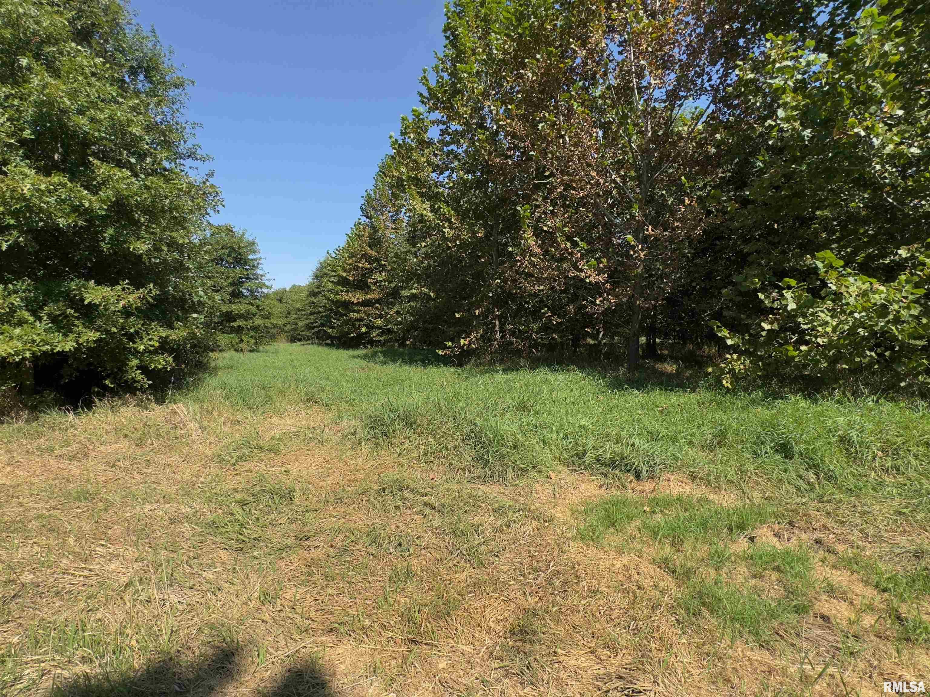 Champaign Road Colchester, IL 62326 - Photo 11 of 18