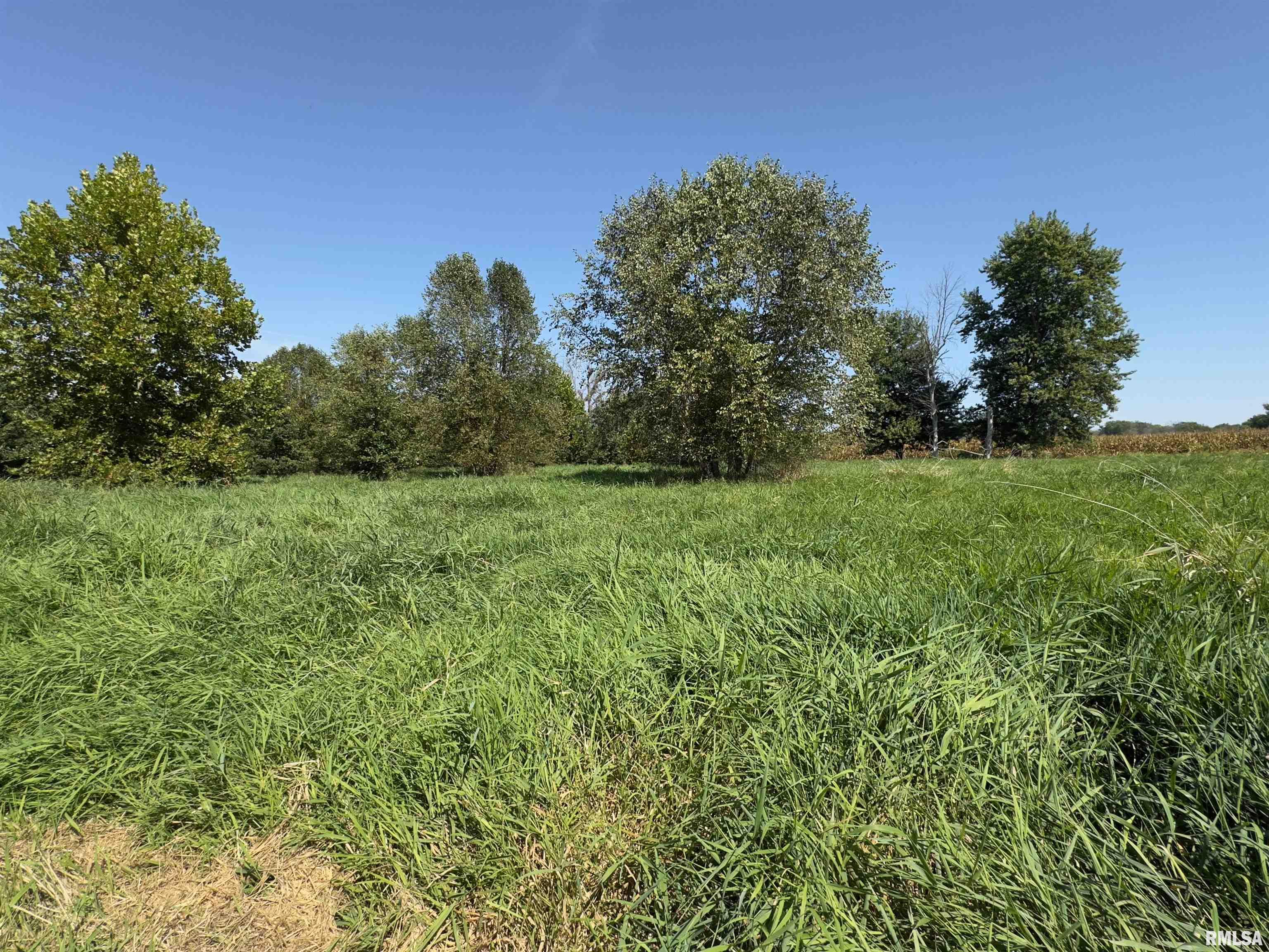 Champaign Road Colchester, IL 62326 - Photo 12 of 18