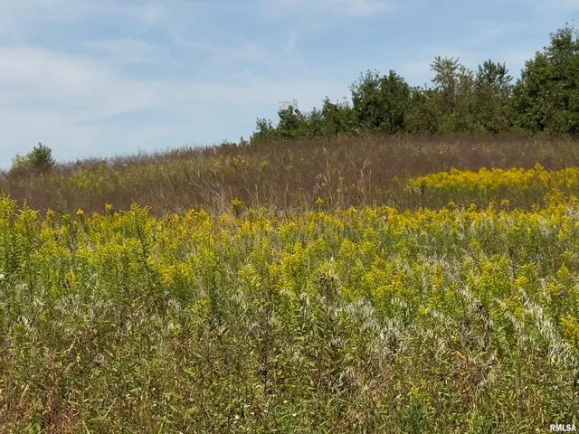 $643,800 | Champaign Road, Colchester, IL 62326