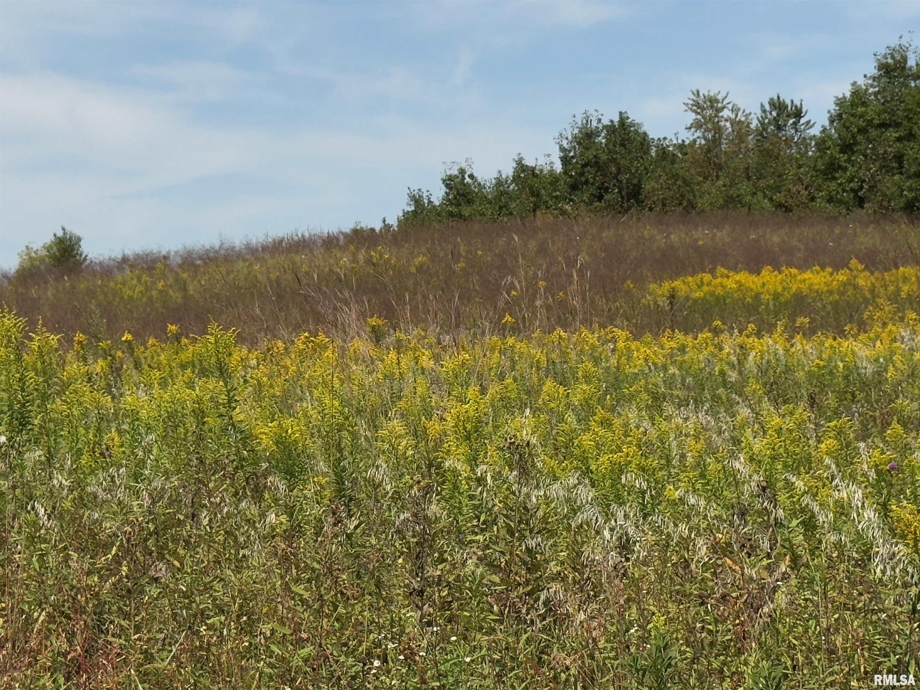 Champaign Road Colchester, IL 62326 - Photo 14 of 18