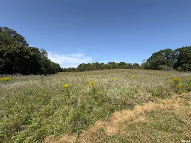 $643,800 | Champaign Road, Colchester, IL 62326