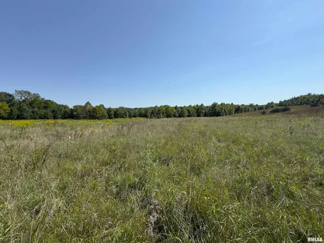 $643,800 | Champaign Road, Colchester, IL 62326