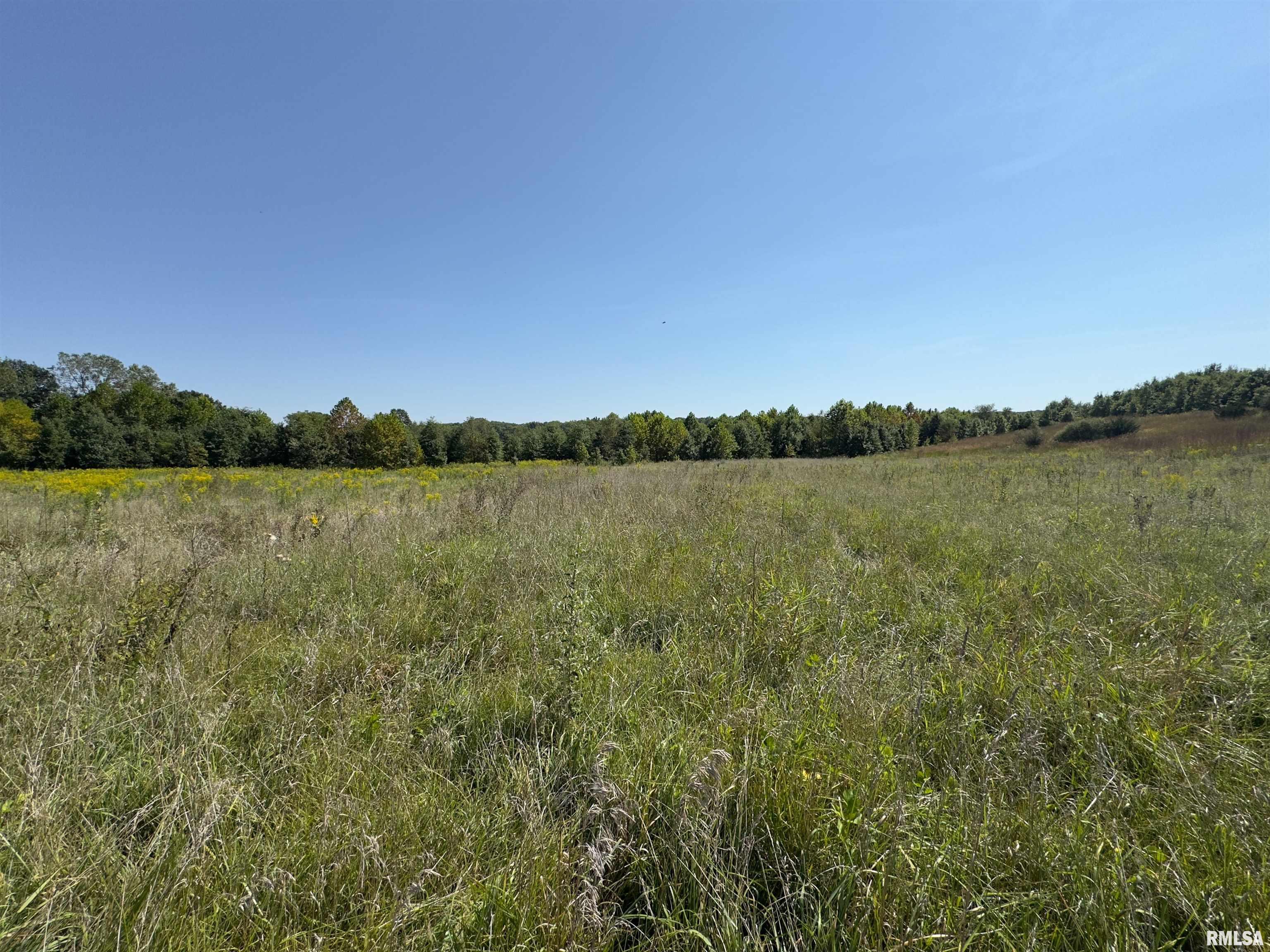 Champaign Road Colchester, IL 62326 - Photo 16 of 18