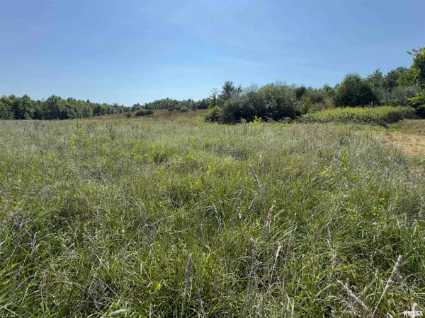 $610,500 | Champaign Road, Colchester, IL 62326