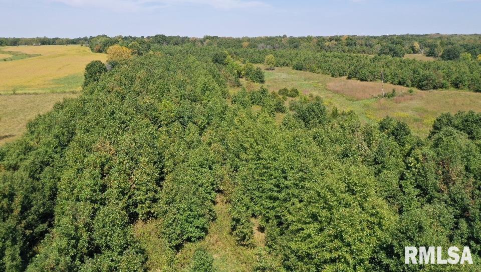 Champaign Road Colchester, IL 62326 - Photo 3 of 18