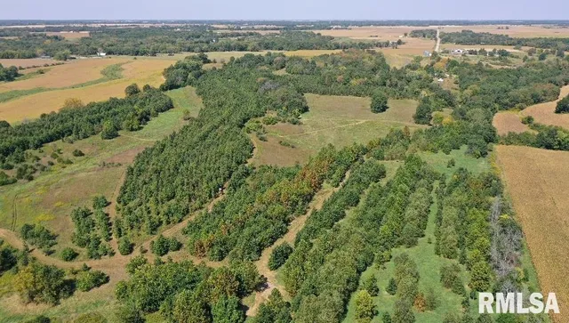 $643,800 | Champaign Road, Colchester, IL 62326