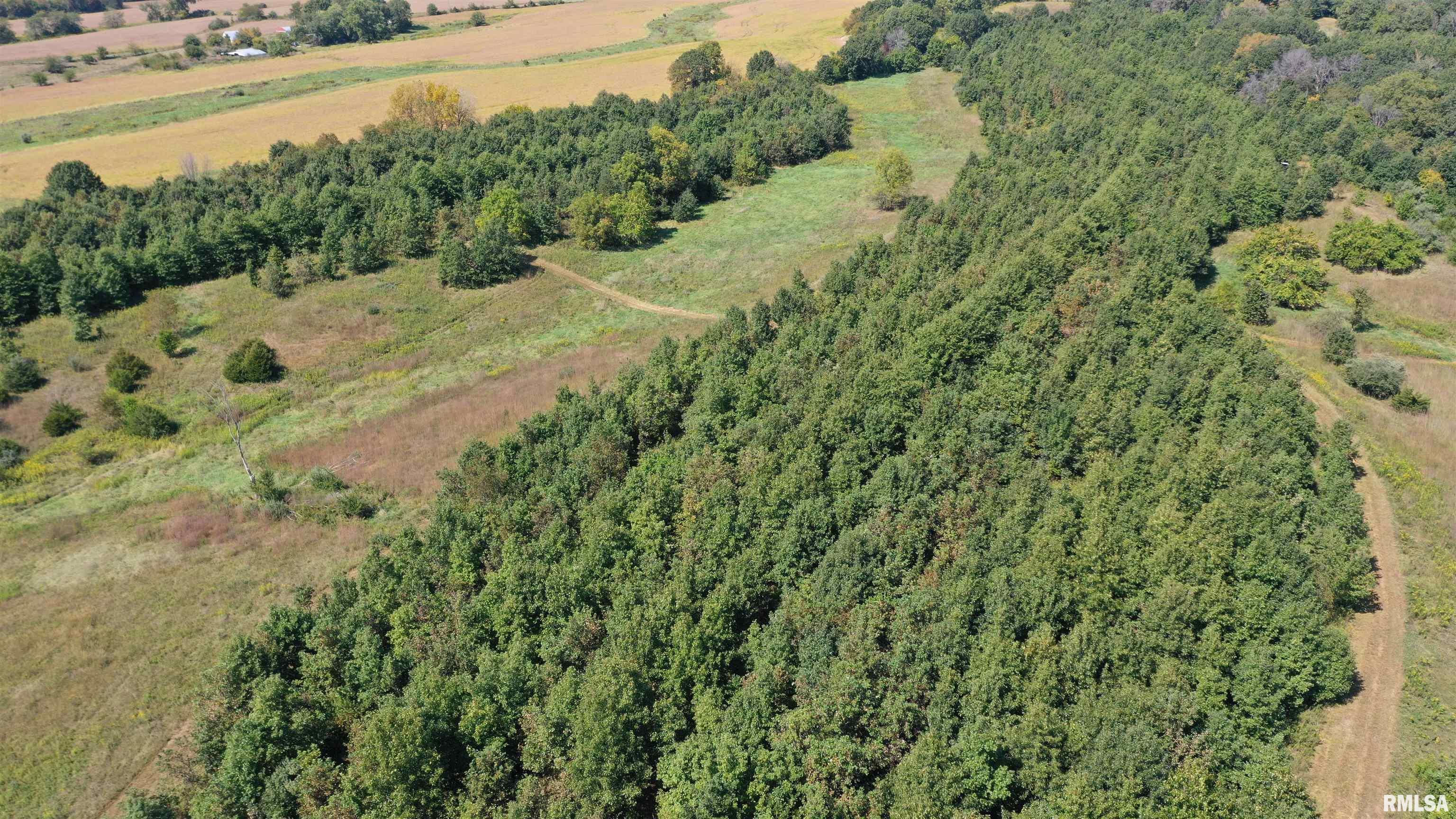 Champaign Road Colchester, IL 62326 - Photo 7 of 18