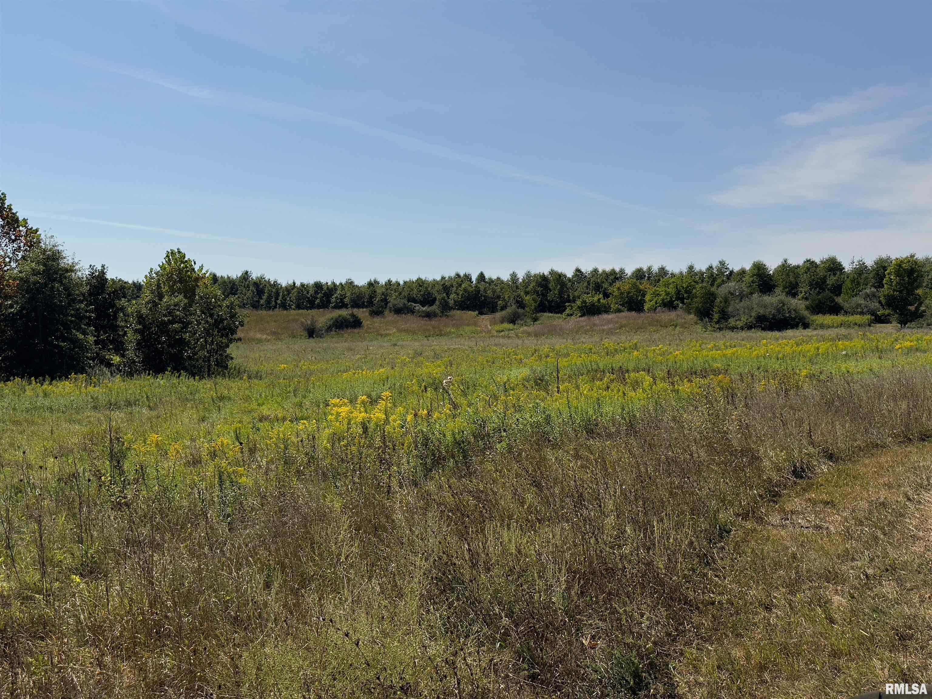 Champaign Road Colchester, IL 62326 - Photo 10 of 18