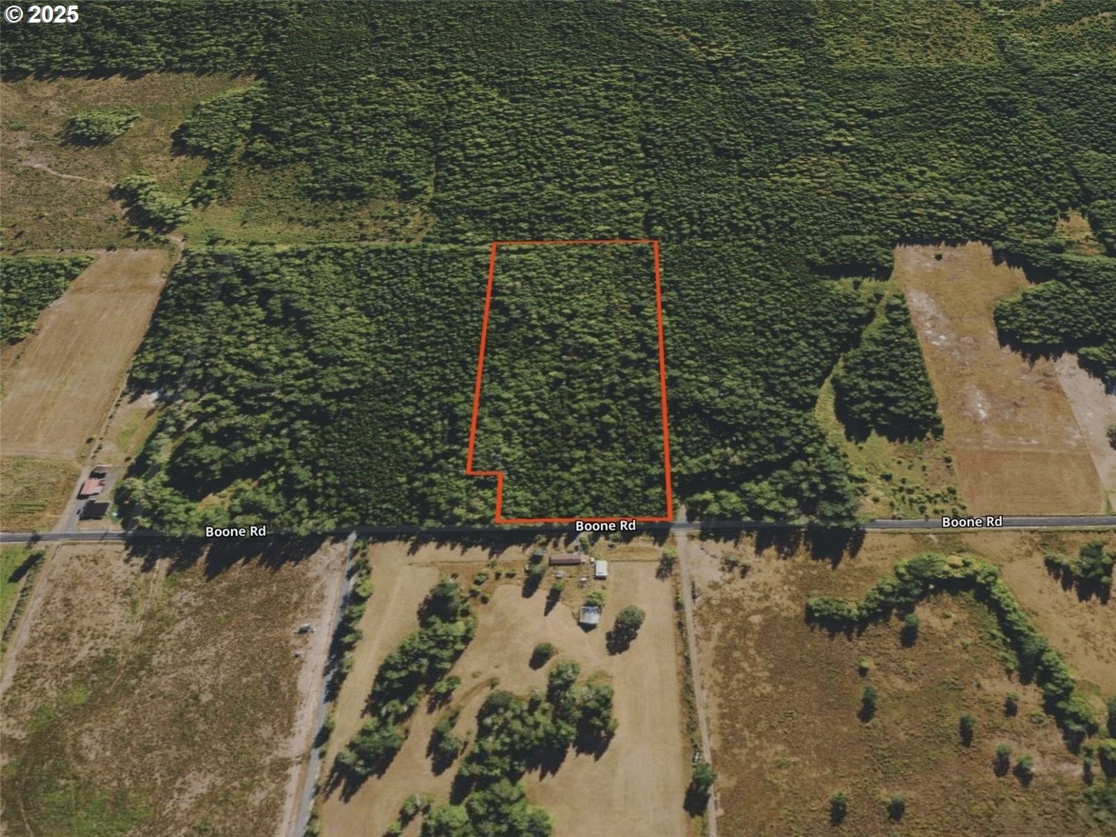 298 Boone Road Toledo, WA 98591 - Photo 26 of 40 a bathroom with a shower