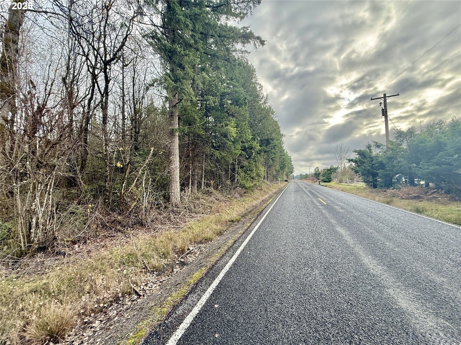 298 Boone Road Toledo, WA 98591 - Photo 30 of 40 a view of a yard with large trees
