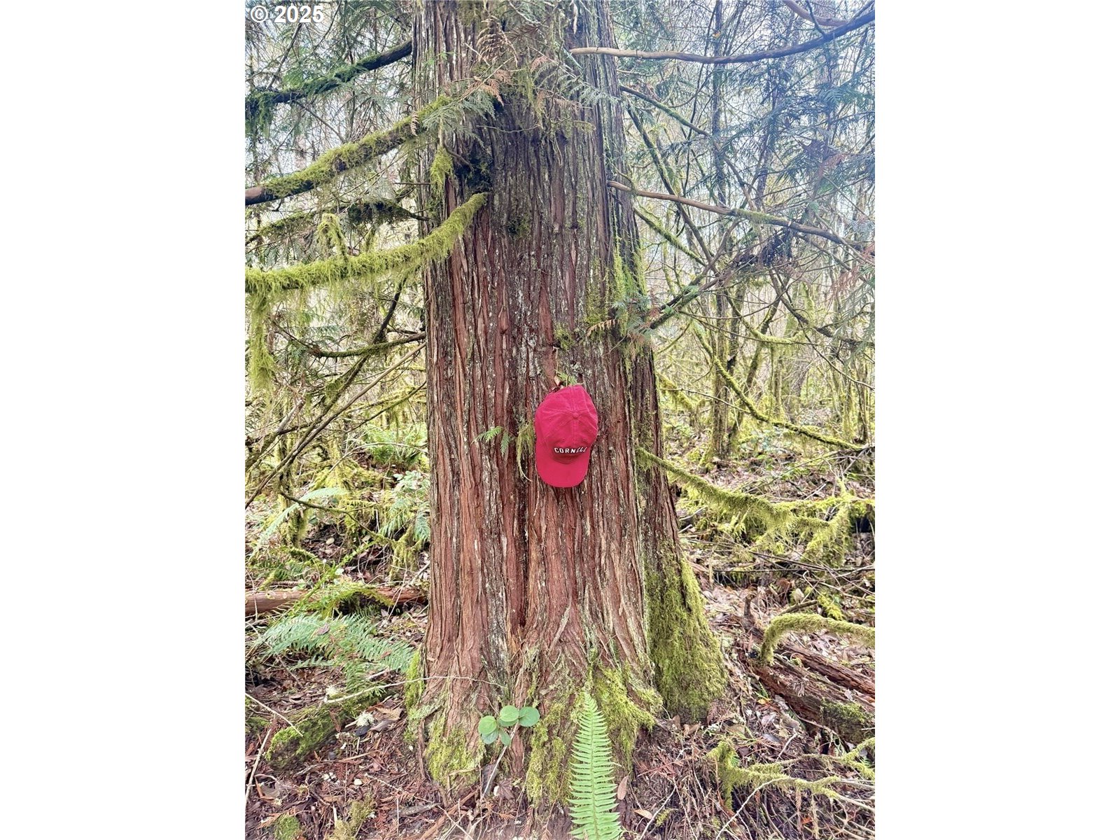 298 Boone Road Toledo, WA 98591 - Photo 5 of 40 a view of entryway with shower