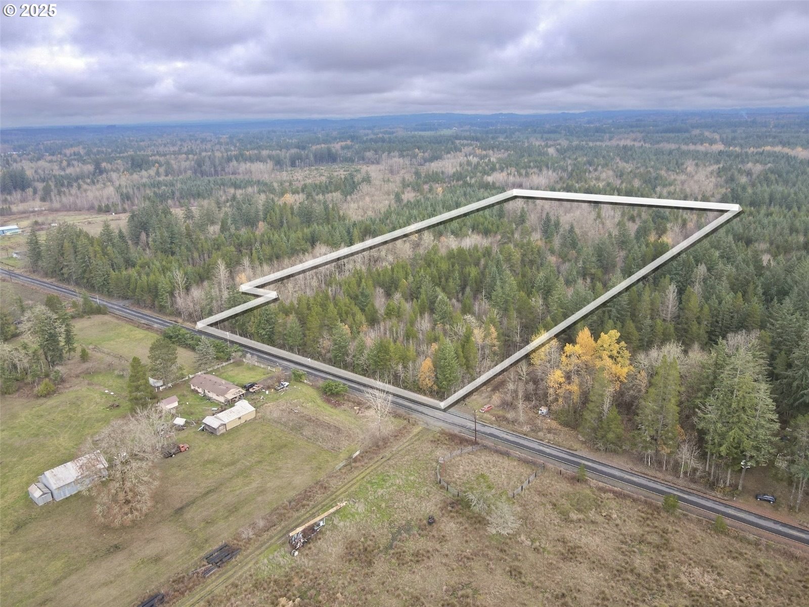 298 Boone Road Toledo, WA 98591 - Photo 7 of 40 a view of a forest from a balcony