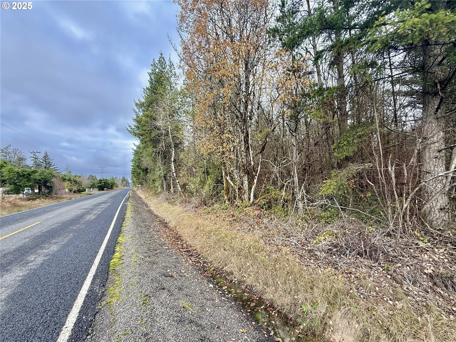 298 Boone Road Toledo, WA 98591 - Photo 9 of 40 a view of a dry yard with trees