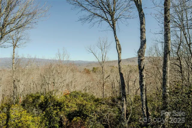$1,590,000 | 156 Tarah Lane, Pisgah Forest, NC 28768