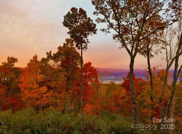 $1,590,000 | 156 Tarah Lane, Pisgah Forest, NC 28768