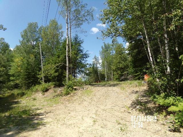 Tbd Tbd Van Dine Road Medway, ME 04460 - Photo 5 of 6 Photo