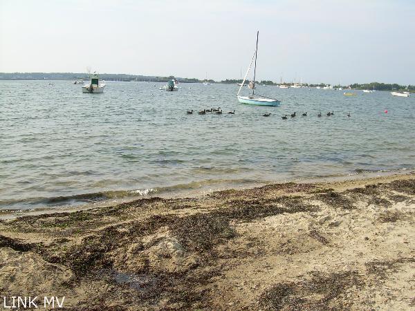 0 Lagoon Road Oak Bluffs, MA 02557 - Photo 2 of 2 http://d1qzqeyxiitrap.cloudfront.net/photos/18964/600/b4309e94.jpg