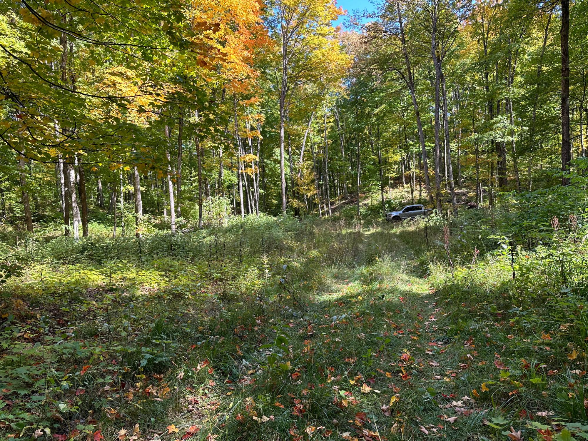 Off County Line Lake Road Watersmeet, MI 49969 - Photo 23 of 28 Gallery Image 23