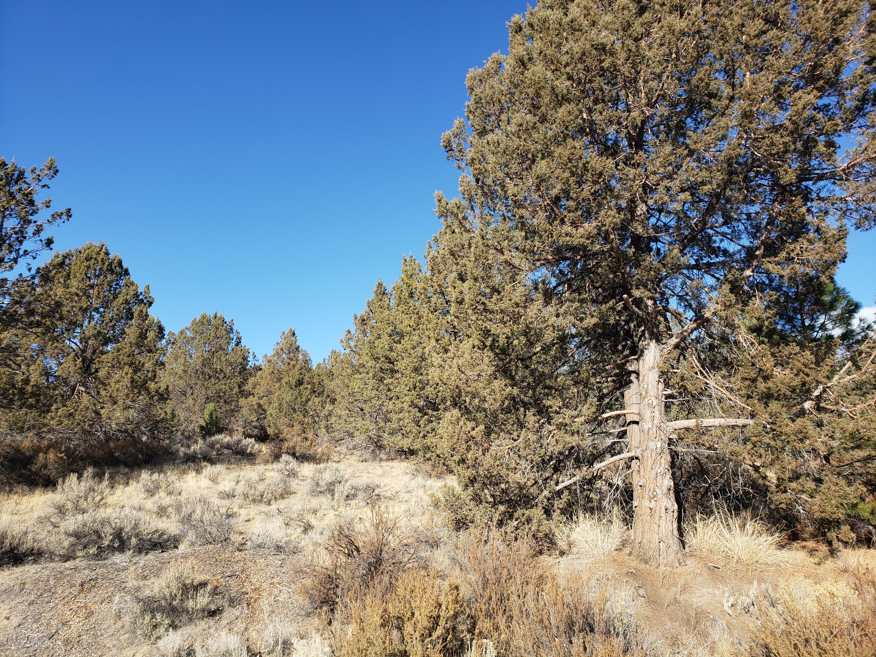 37 Drews Ranch Road Chiloquin, OR 97624 - Photo 1 of 16 Front View