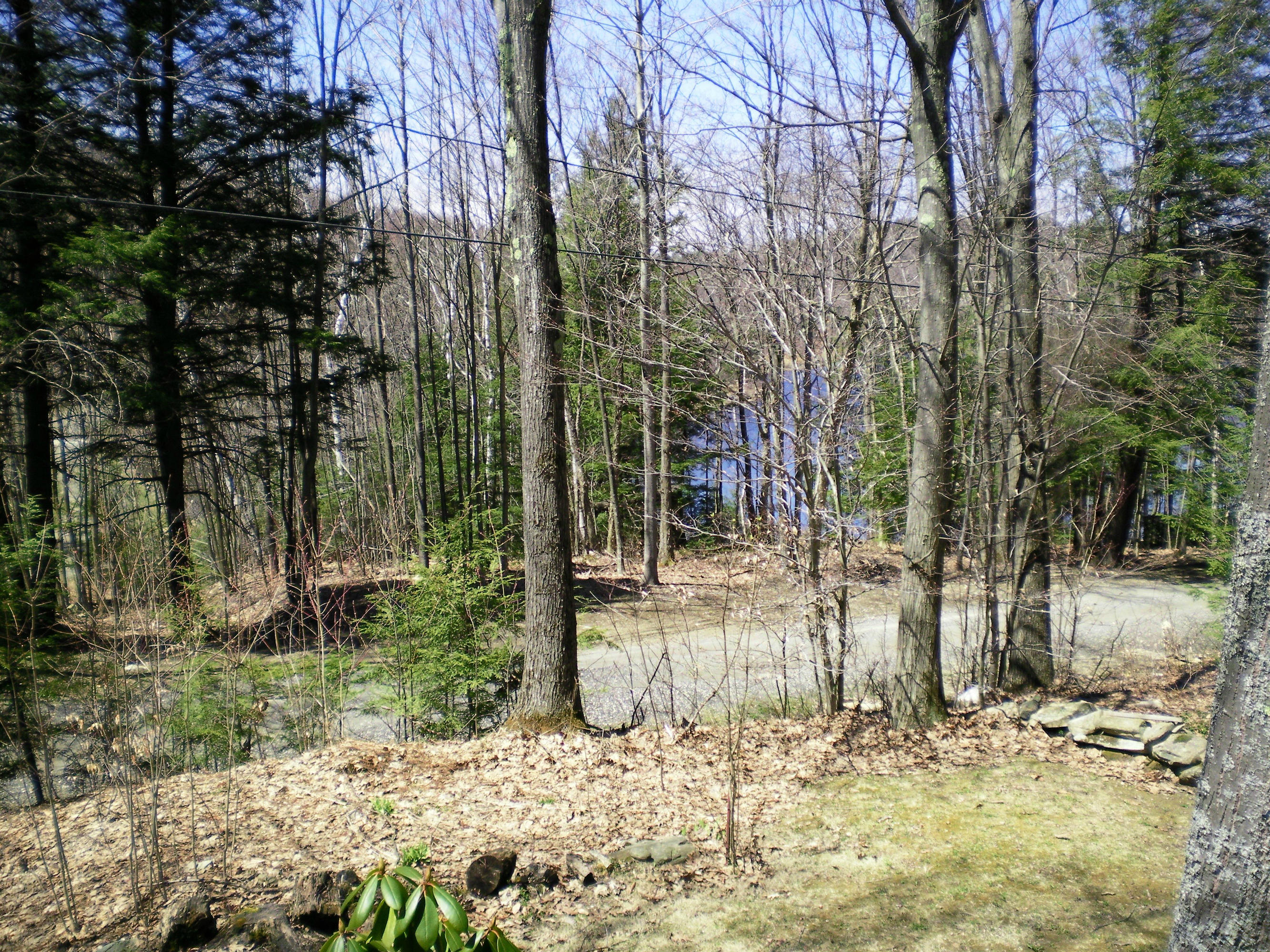 27 Lake View Road Peru, MA 01235 - Photo 9 of 26 a backyard of a house with lots of green space