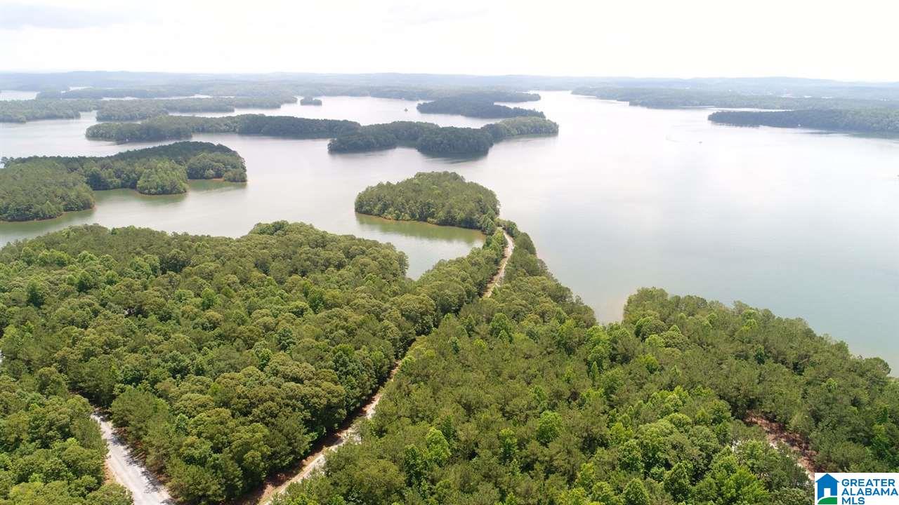 Lot # Jackson Trail, Unit 15 Lineville, AL 36266 - Photo 10 of 17