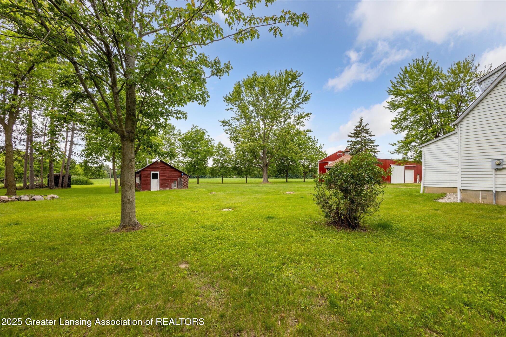 16544 South Chapin Road Elsie, MI 48831 - Photo 48 of 53 33-16544-S-Chapin-Rd-Elsie-MI-48831-Wind