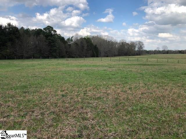 1 Neely Ferry Road Laurens, SC 29360 - Photo 1 of 2