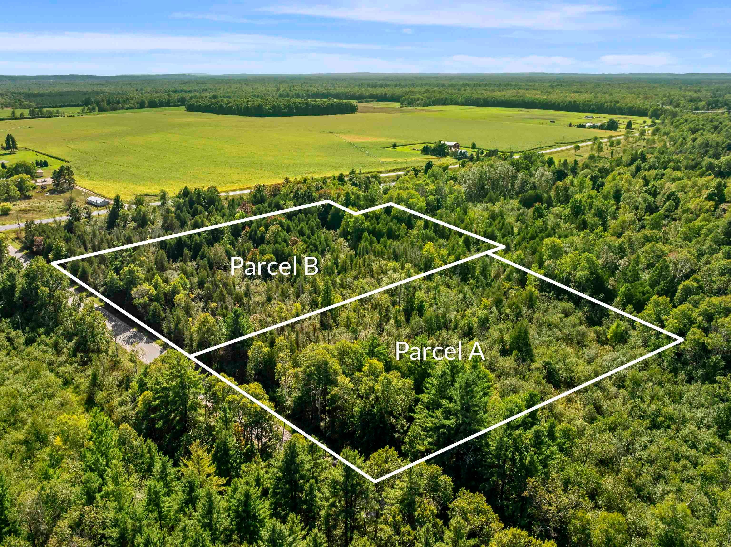Parcel A Yates Road Copemish, MI 49625 - Photo 2 of 10 Gallery Image 2