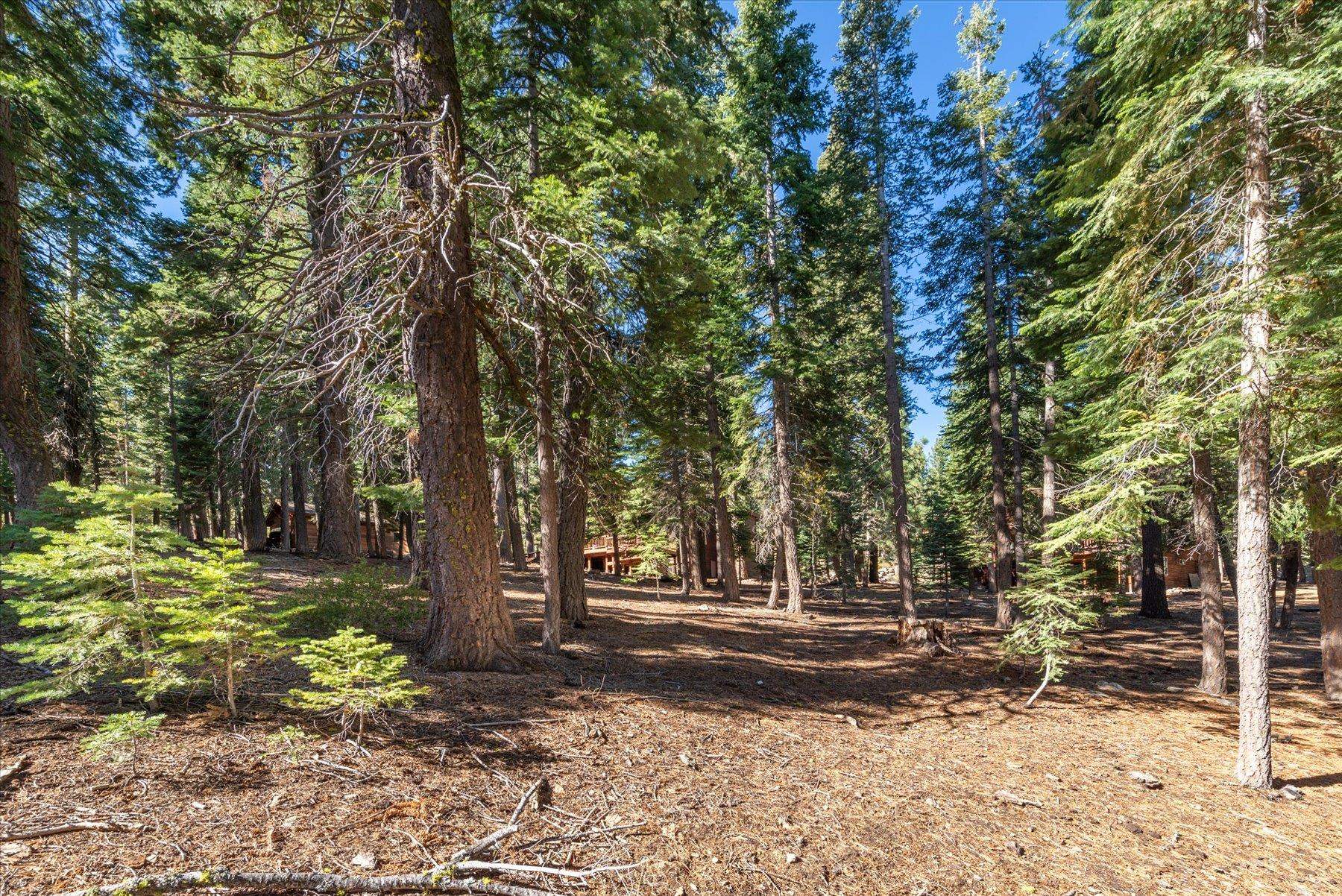 11888 Chamonix Road Truckee, CA 96161 - Photo 11 of 19 Gallery Image 11