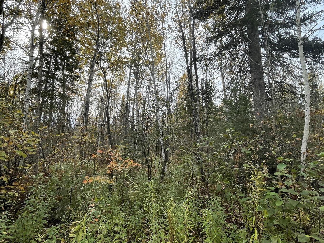 Map3-lot1 Mapleton Road Mapleton, ME 04757 - Photo 11 of 16 Mapletonroad13