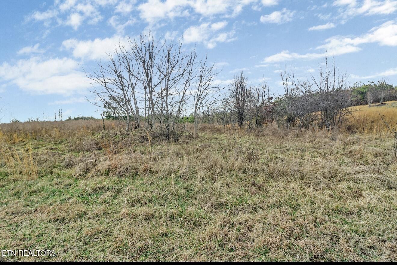 0 Tower Road Grandview, TN 37337 - Photo 13 of 14 Gallery Image 13