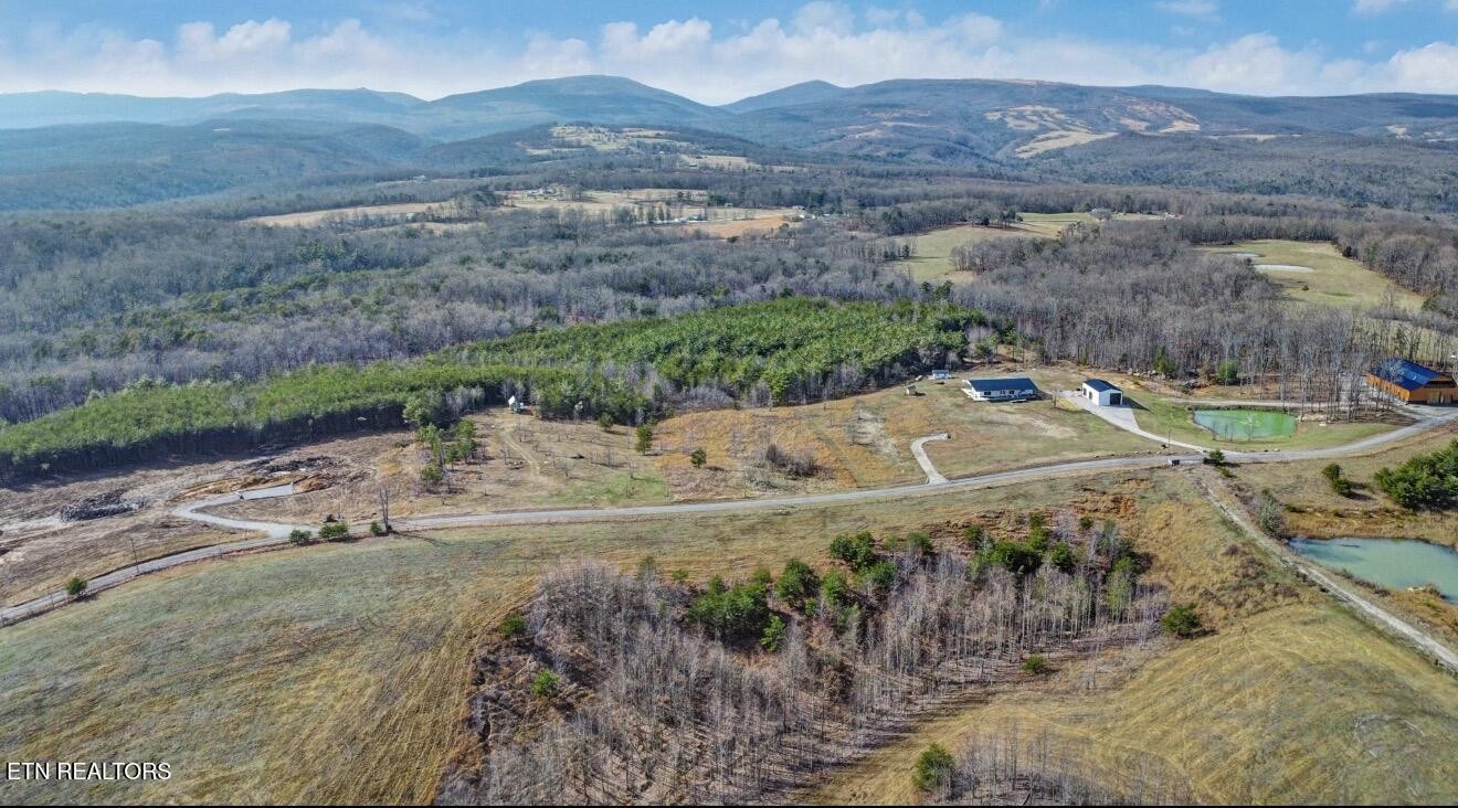 0 Tower Road Grandview, TN 37337 - Photo 4 of 14 Gallery Image 4