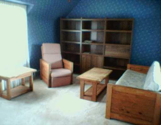 4544 Norwin Road Whitehall, PA 15236 - Photo 6 of 8 Den/Family/Great Room.