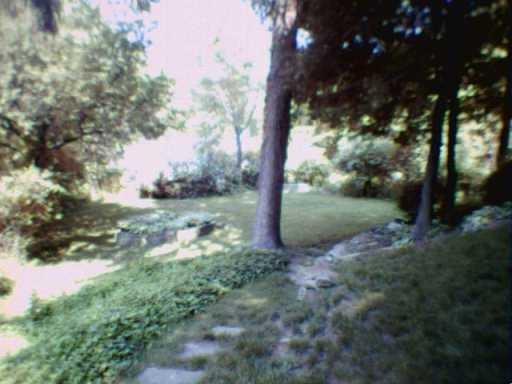 4544 Norwin Road Whitehall, PA 15236 - Photo 8 of 8 Yard/Garden.