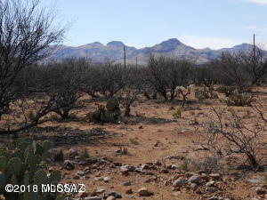 1887 Via Ochoa, Unit 3 Rio Rico, AZ 85648 - Photo 1 of 1 a view of a dry yard with trees