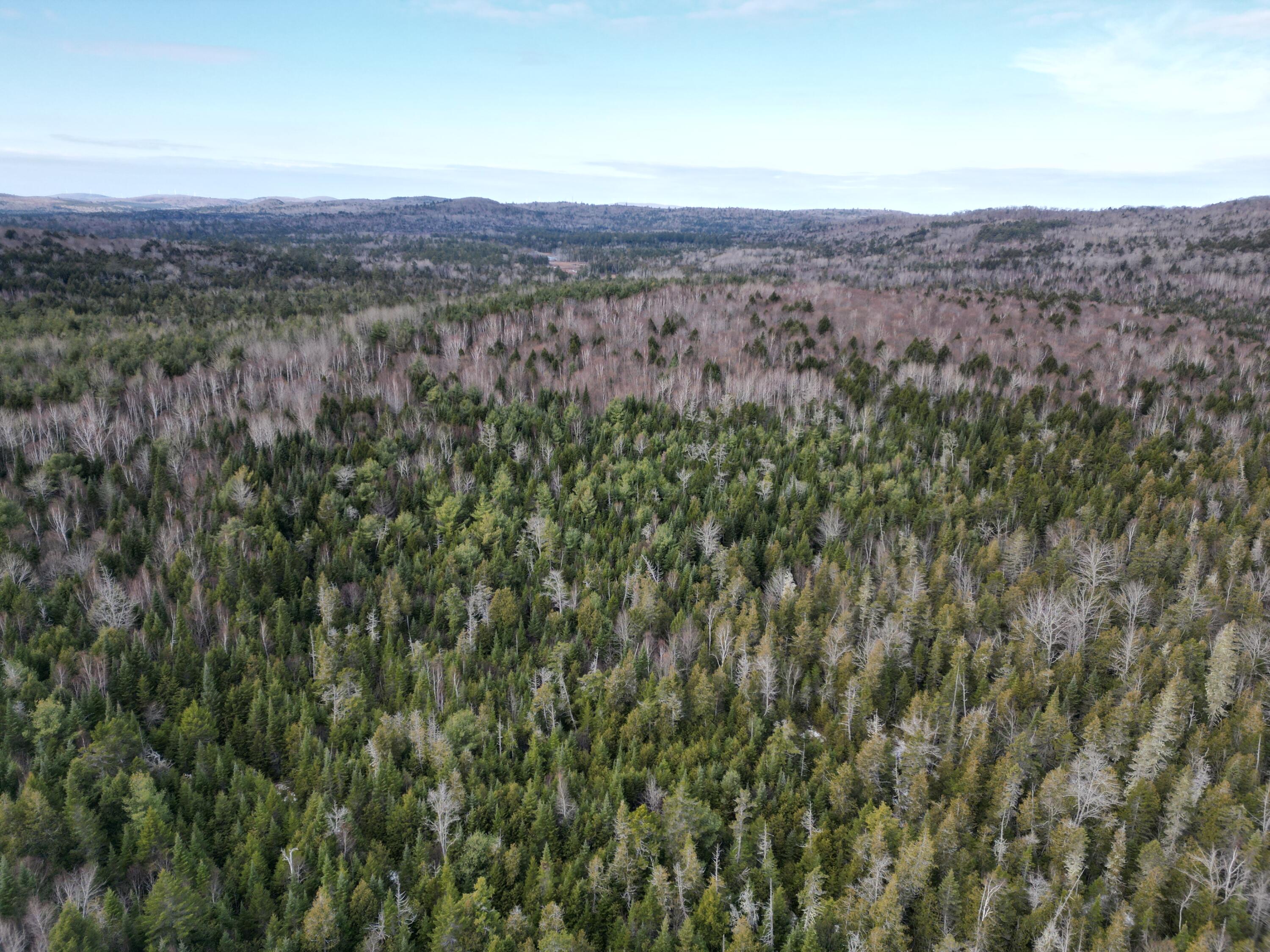 9 Upper Dobsis Road Lakeville, ME 04487 - Photo 17 of 29 DJI_0413