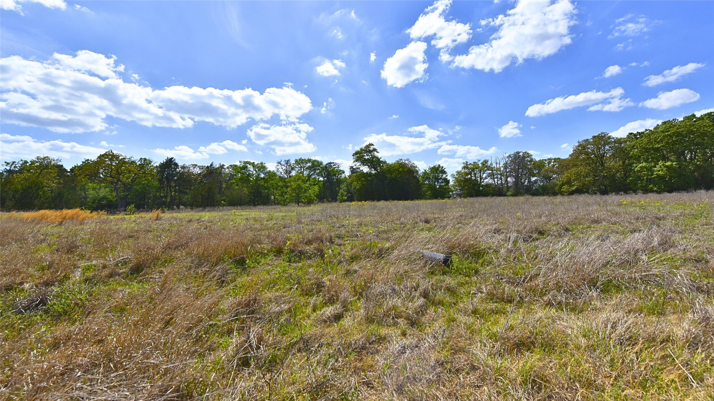 29-30 Legacy Road Somerville, TX 77879 - Photo 11 of 11 a view of a big yard
