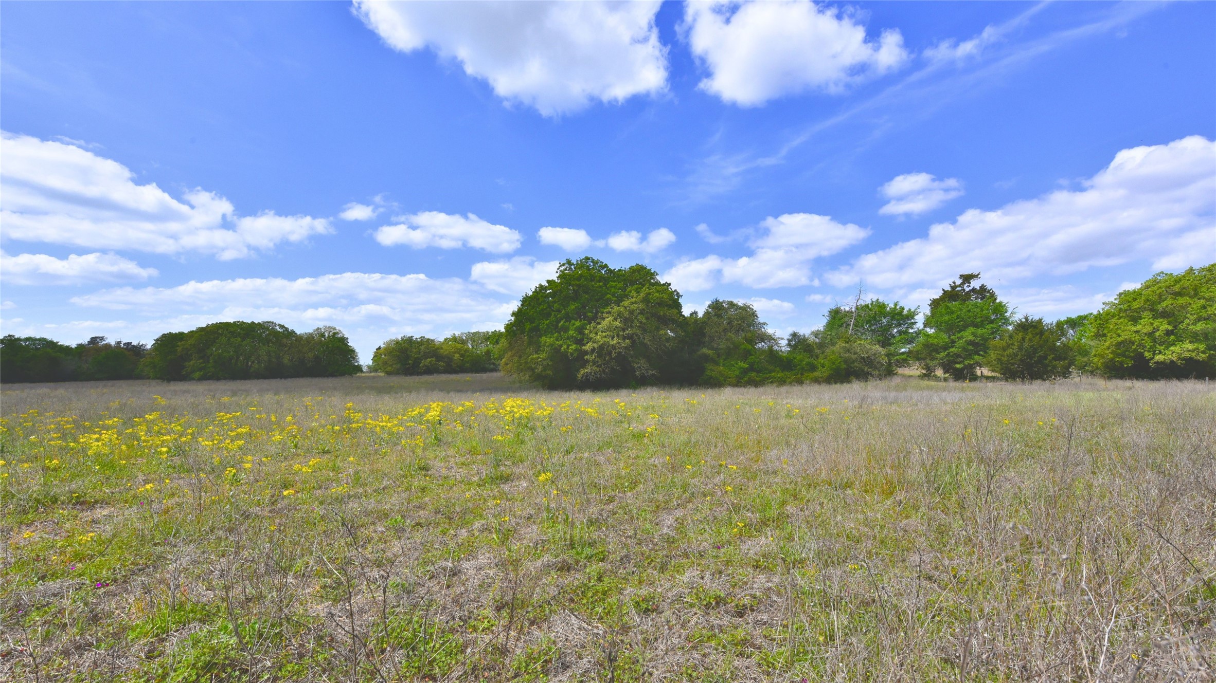 29-30 Legacy Road Somerville, TX 77879 - Photo 7 of 11 a view of lake and mountain