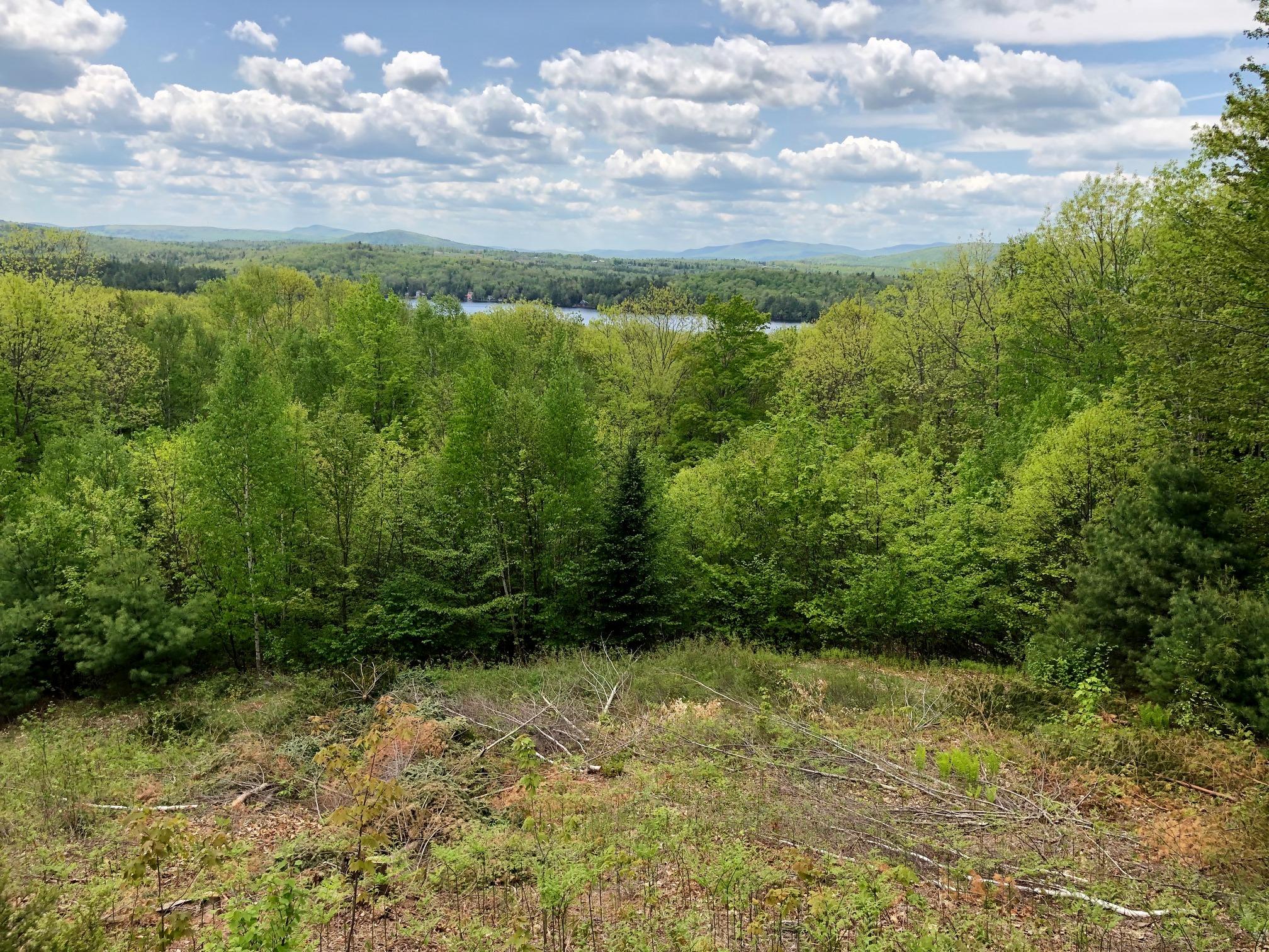 48 Dearborn Road Canton, ME 04221 - Photo 37 of 41 View 4 of mountains and lake