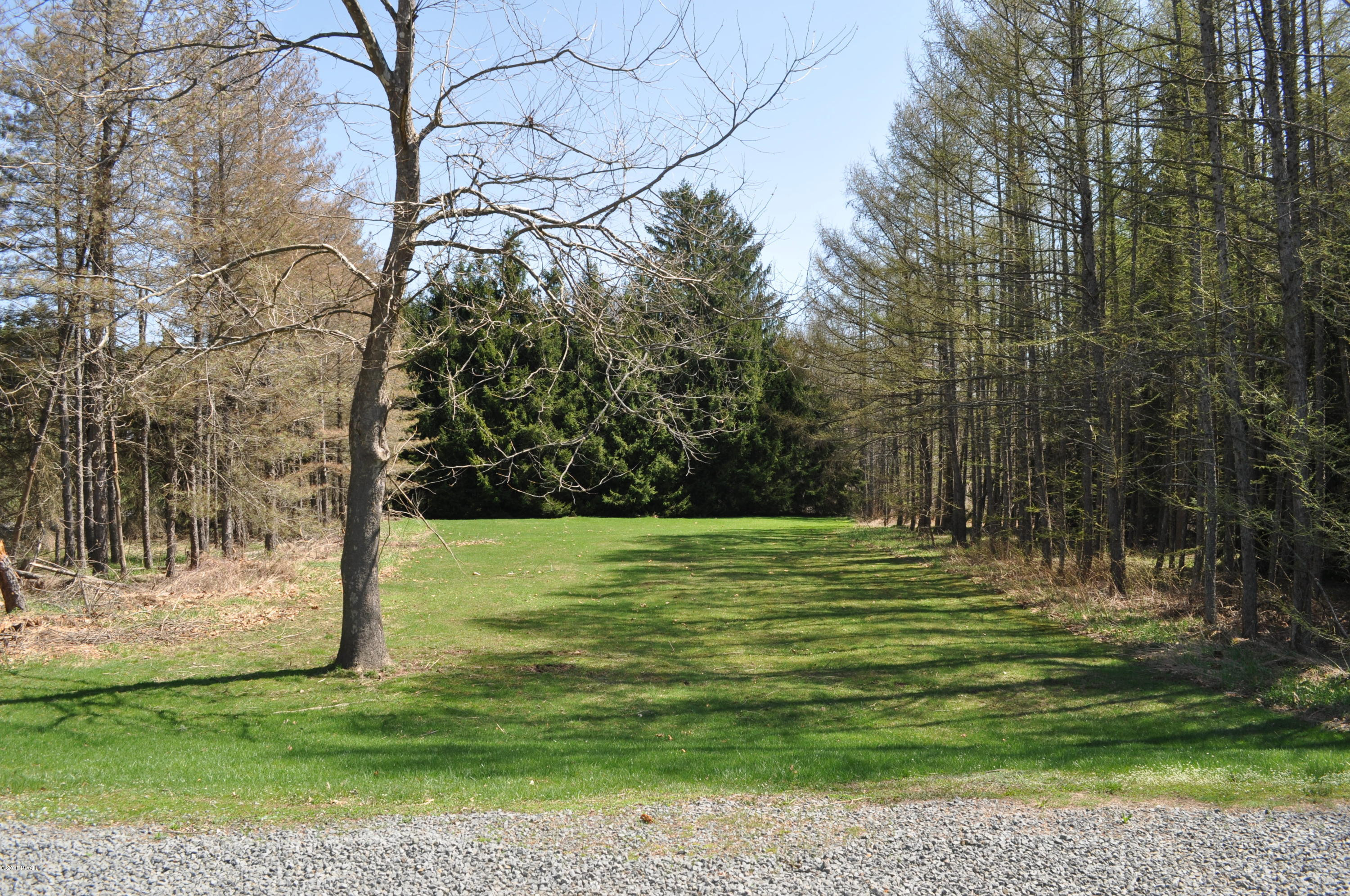 334 Stock Farm Road Lake Ariel, PA 18436 - Photo 36 of 41 Side Yard