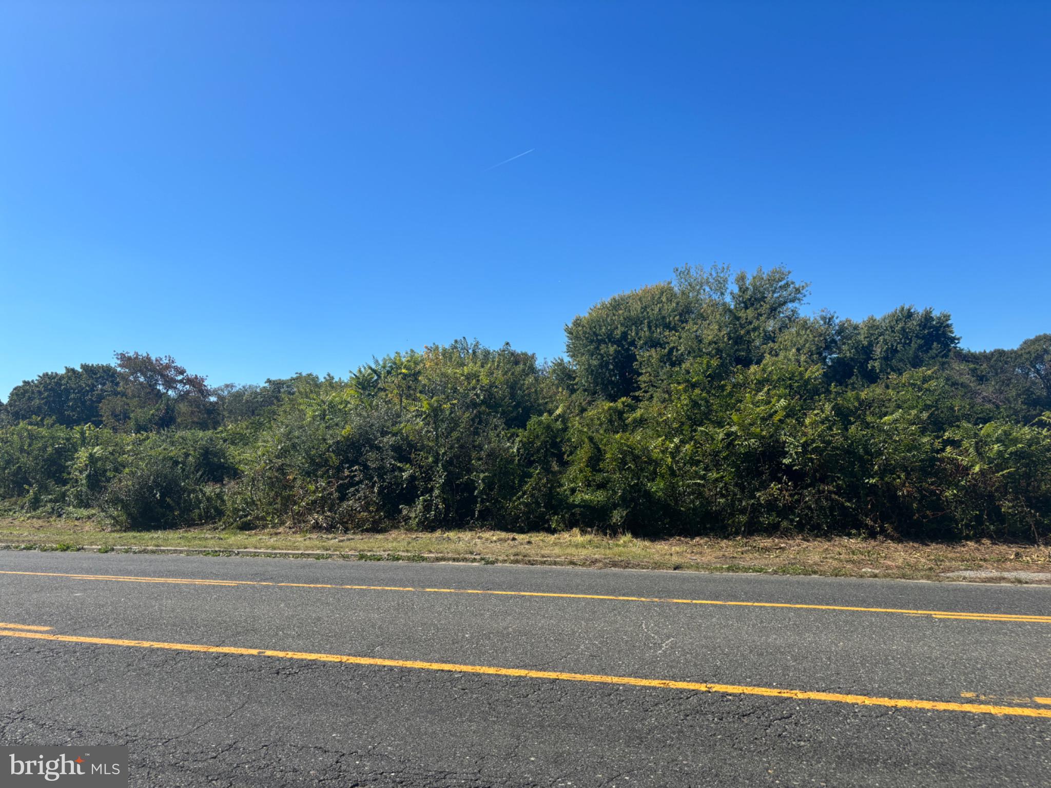 1410 North Main Road Vineland, NJ 08360 - Photo 3 of 4 a view of a yard
