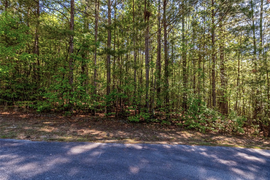 Lot E-30 Pine Ridge Way Salem, SC 29676 - Photo 2 of 11 This tranquil wooded lot offers a peaceful retreat for your future home.