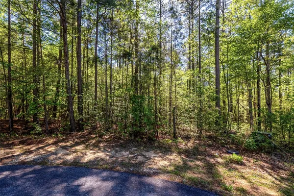 $20,000 | Lot E-30 Pine Ridge Way, Salem, SC 29676