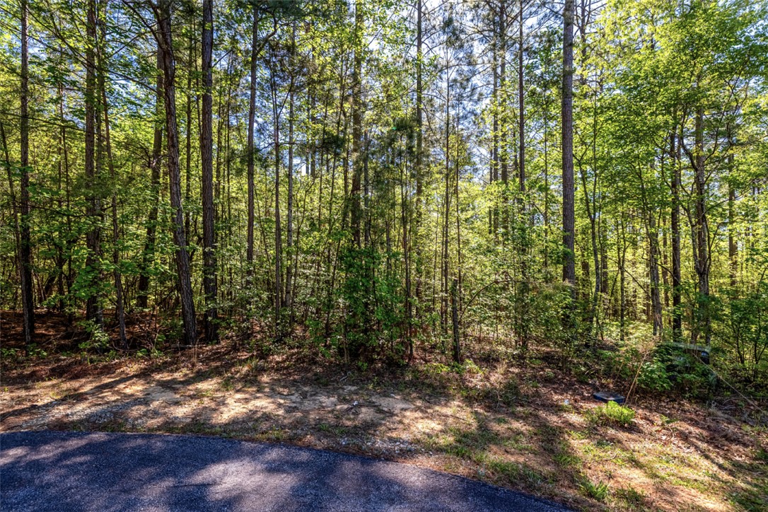Lot E-30 Pine Ridge Way Salem, SC 29676 - Photo 3 of 11 Mature trees offer a natural, private setting perfect for building your dream home.