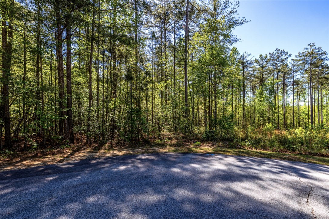 Lot E-30 Pine Ridge Way Salem, SC 29676 - Photo 4 of 11 This tranquil wooded lot offers a serene setting for a future home.