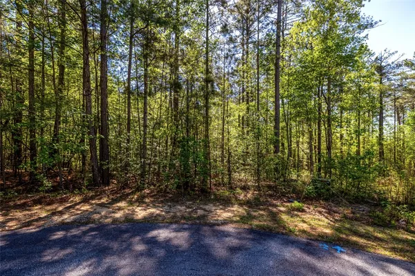 $20,000 | Lot E-30 Pine Ridge Way, Salem, SC 29676